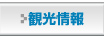 観光情報