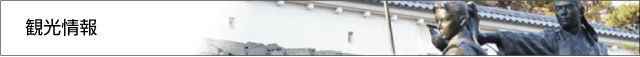 観光情報